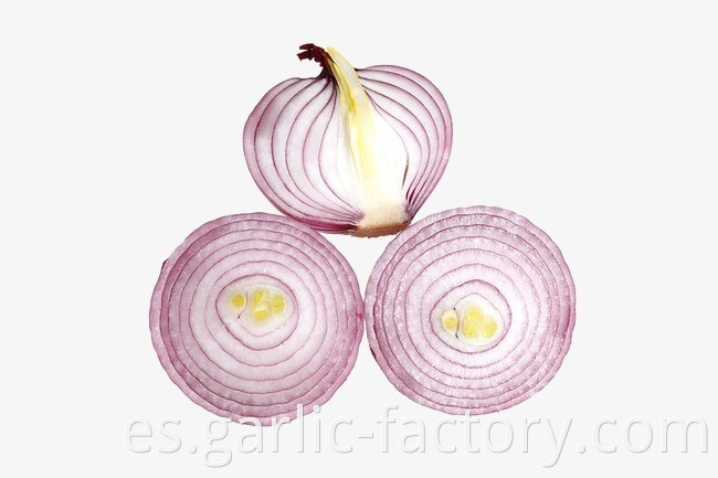 Quality fresh onion vegetables new crop for wholesale